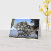 Cartes de note "de chêne vivant de penchement" (Fleur jaune)