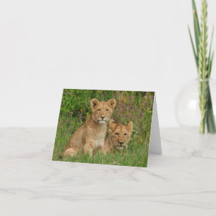 Cartes de note de CUB de lion