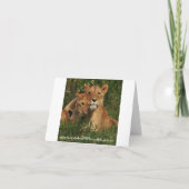 Cartes de note de CUB de lion (Dos)