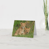Cartes de note de CUB de lion (Devant)