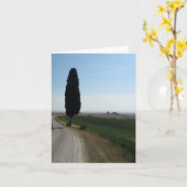 Cartes de note de Cypress italien (Fleur jaune)