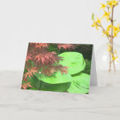 Cartes de note de Hosta de N d'érable (Fleur jaune)