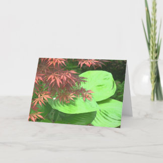 Cartes de note de Hosta de N d'érable