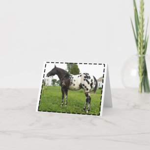 CARTES DE NOTE DE JET D'ABEILLE DE BOOGIE