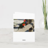 Cartes de note de Lorikeet (Dos)