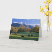 Cartes de note de Mt. Mansfield Vermont (Fleur jaune)