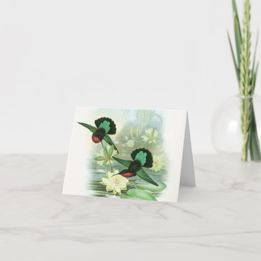 Cartes de note de nénuphars de colibris de Gould (Devant)