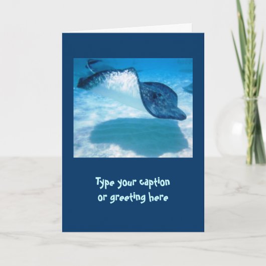 Cartes de note de pastenague (Devant)