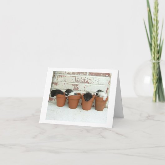 Cartes de note de pots de Kitty (Devant)