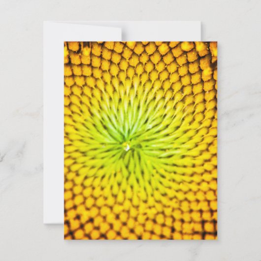 Cartes de note de tournesol (Devant)
