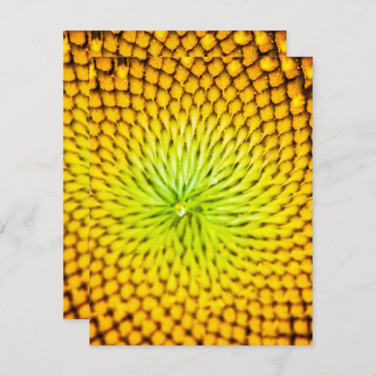 Cartes de note de tournesol (Devant / Derrière)