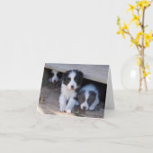 Cartes de note de trio de chiot de border collie (Fleur jaune)