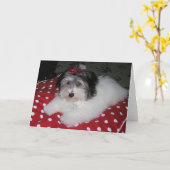 CARTES DE NOTE DOUCES DE BROOKLYN (Fleur jaune)