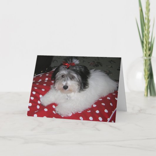 CARTES DE NOTE DOUCES DE BROOKLYN (Devant)