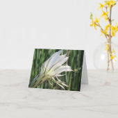 Cartes de note Fleur Cactus (Fleur jaune)
