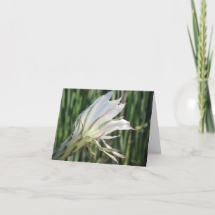 Cartes de note Fleur Cactus