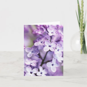 Cartes de note lilas