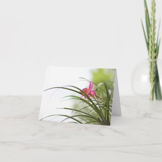 Cartes de note magiques de lis féerique (Devant)