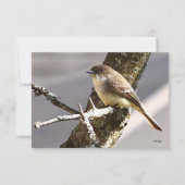Cartes de note nature Cartes d'oiseaux (Devant)