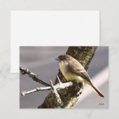 Cartes de note nature Cartes d'oiseaux (Devant / Derrière)