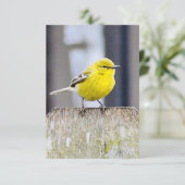 Cartes de note nature Cartes d'oiseaux (Debout devant)