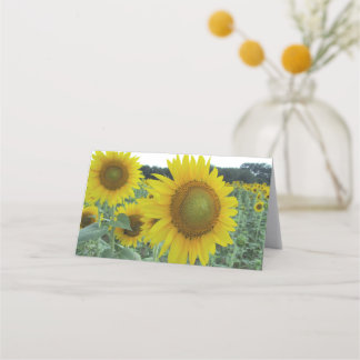 Cartes de note pliées par tournesol gai