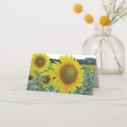 Cartes de note pliées par tournesol gai (Devant)