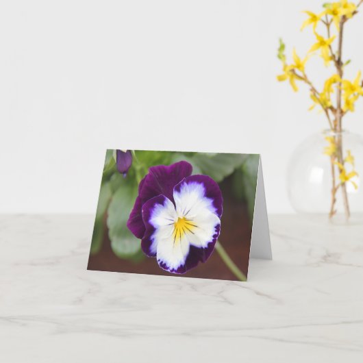 Cartes de note pourpres de pensée, intérieur vide (Fleur jaune)