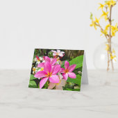 Cartes de note roses parfaites de Plumeria (Fleur jaune)