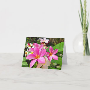 Cartes de note roses parfaites de Plumeria