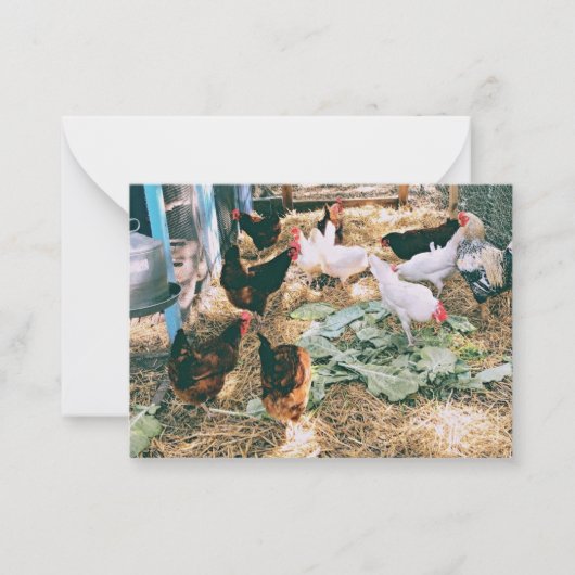 Cartes de notes (Devant)