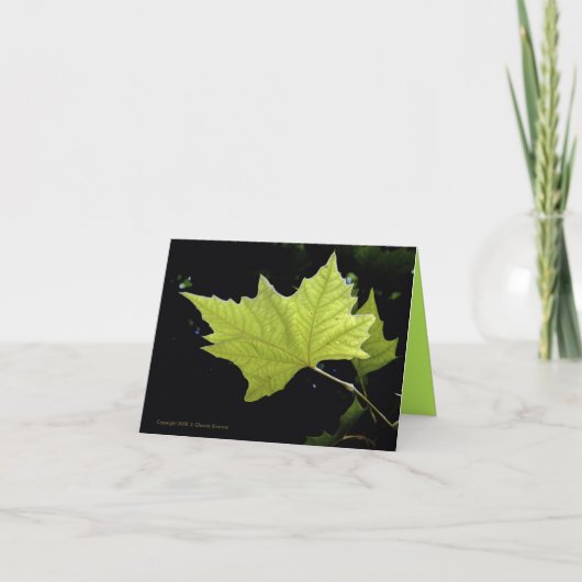 Cartes de notes à feuille verte (Devant)