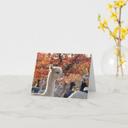 Cartes de notes Alpaca Elisabetta (Fleur jaune)