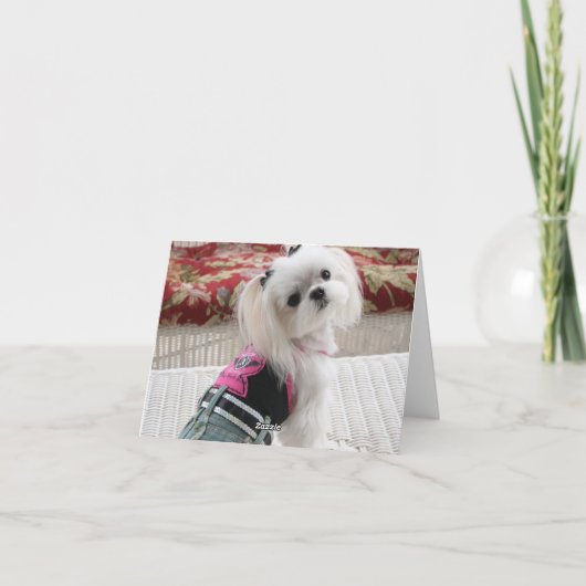 Cartes de notes Ava (Dos)