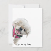 Cartes de notes avec Peter Rottentail (Devant)