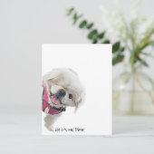 Cartes de notes avec Peter Rottentail (Debout devant)