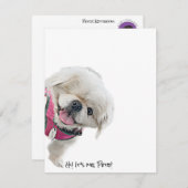 Cartes de notes avec Peter Rottentail (Devant / Derrière)