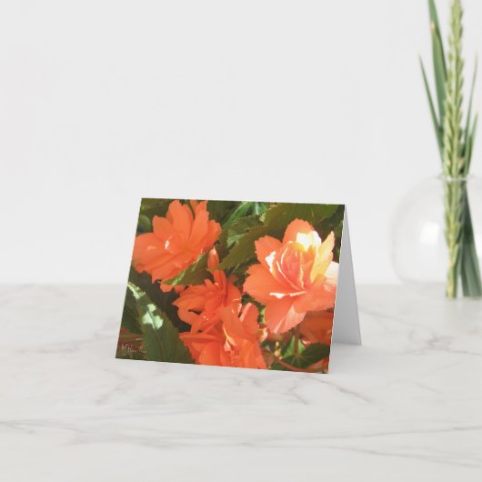 Cartes de notes Begonias (Devant)