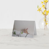 Cartes de notes blanches Peek-a-Boo (Fleur jaune)