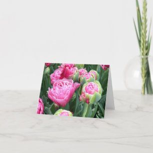 Cartes de notes blanches pour tulipes roses