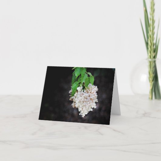 Cartes de notes cardiaques Lilac (Devant)