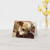 Cartes de notes Chihuahua (Fleur jaune)