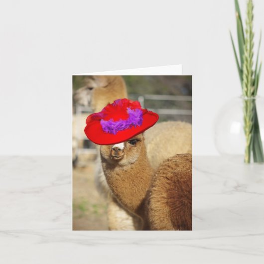 Cartes de notes Cute Alpaca (Devant)