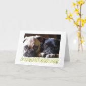 Cartes de notes d'amour carlin (Fleur jaune)