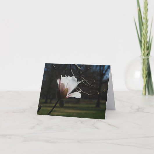 Cartes de notes d'art fin Blush Magnolia Bloom – É (Devant)