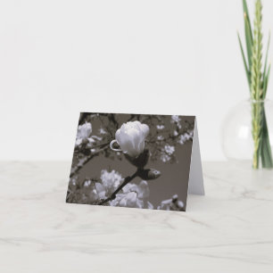 Cartes de notes de fleur de magnolia vintage – Cot
