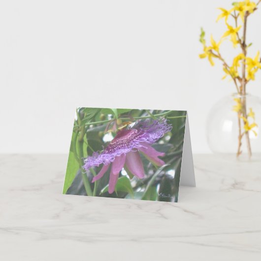 Cartes de notes de fleurs de passion violette (Fleur jaune)