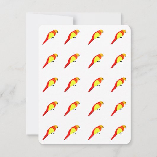 Cartes de notes de perroquets (Dos)