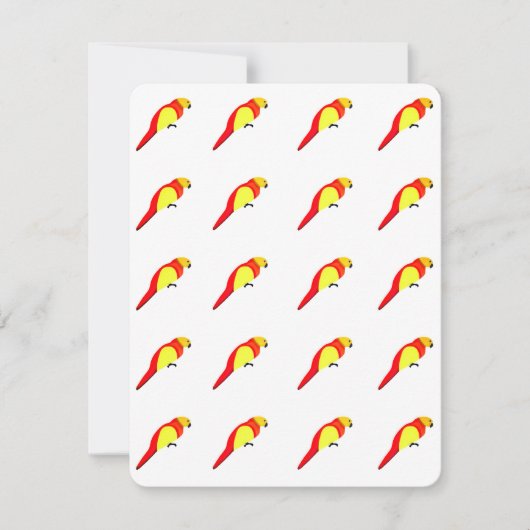 Cartes de notes de perroquets (Devant)