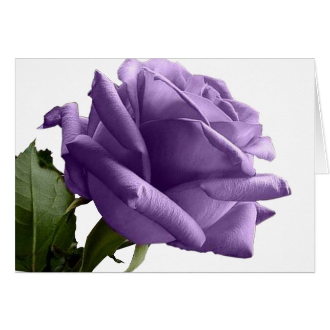 Cartes de notes de Rose violet (Devant Horizontal)